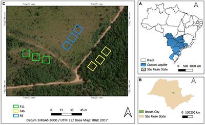 Effects of Cerrado restoration on seasonal soil hydrological properties and insights on impacts of deforestation and climate change scenarios